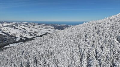 SAMSUN (AA) – Samsun’un Alaçam ilçesine bağlı, 1650 metre rakımlı