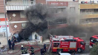 ŞANLIURFA (AA) – Şanlıurfa'nın Haliliye ilçesinde bir yatak deposunda çıkan