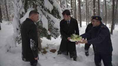 SİVAS (AA) – Sivas'ın Koyulhisar ilçesinde, çam ağaçlarıyla kaplı Eğriçimen