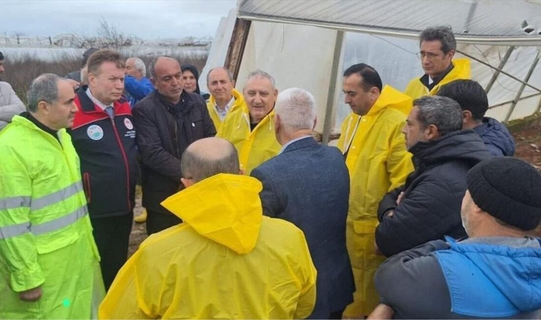 İSTANBUL (AA) – Tarım ve Orman Bakanlığı ile Tarım Sigortaları