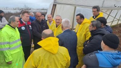 İSTANBUL (AA) – Tarım ve Orman Bakanlığı ile Tarım Sigortaları