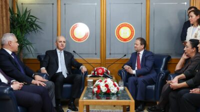 - "(Milli Dayanışma, Kardeşlik ve Demokrasi Komisyonunun raporu) Çok uzun