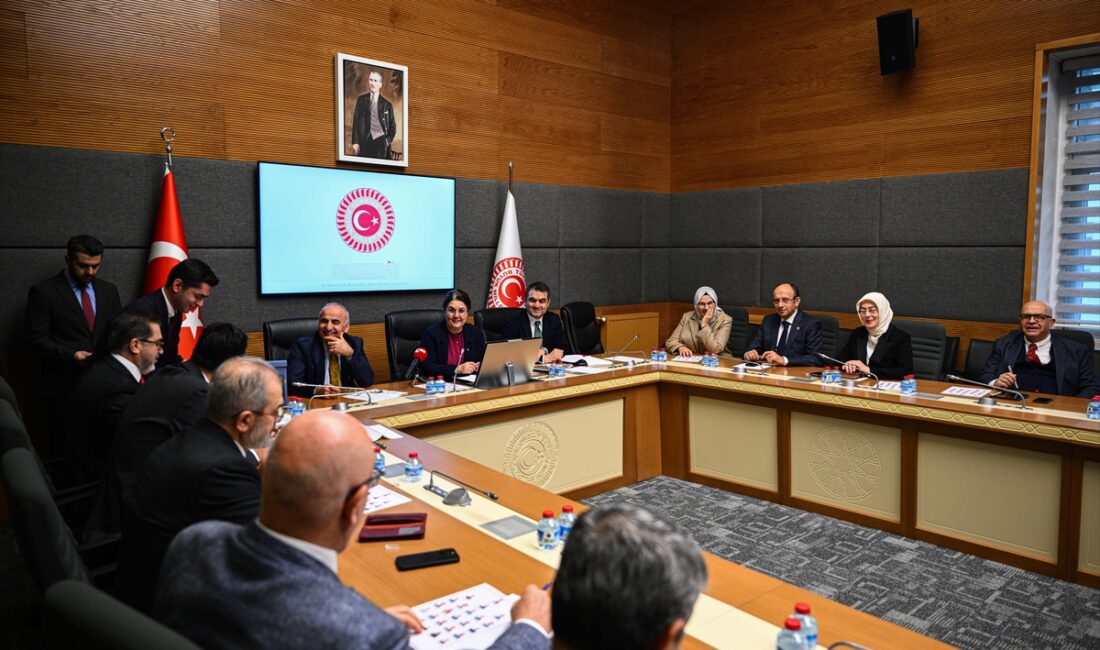 TBMM (AA) – TBMM İnsan Haklarını İnceleme Komisyonu'nda boş olan