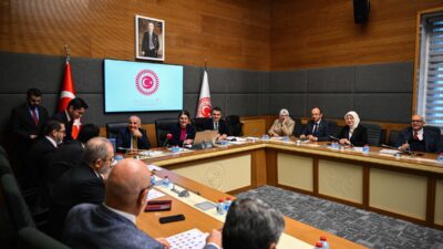 TBMM (AA) – TBMM İnsan Haklarını İnceleme Komisyonu'nda boş olan