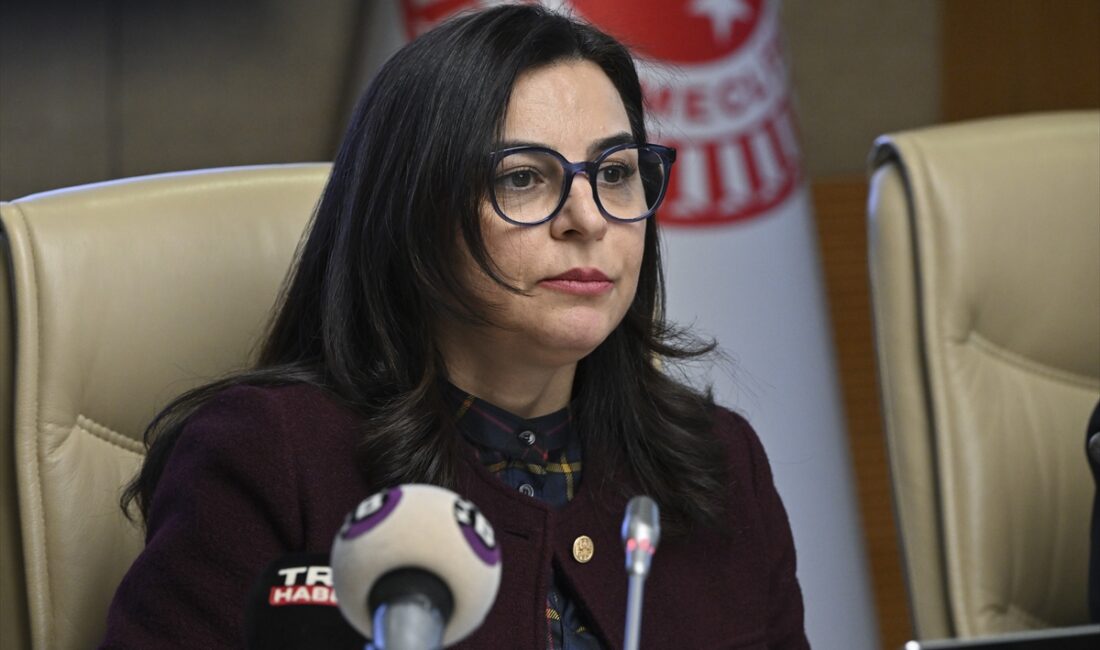 - Komisyon Başkanı ve AK Parti İstanbul Milletvekili Müşerref Pervin