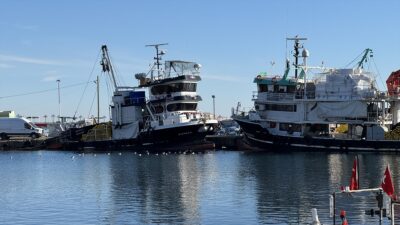 TEKİRDAĞ (AA) – Marmara Denizi'nde etkili olan kar yağışının ardından