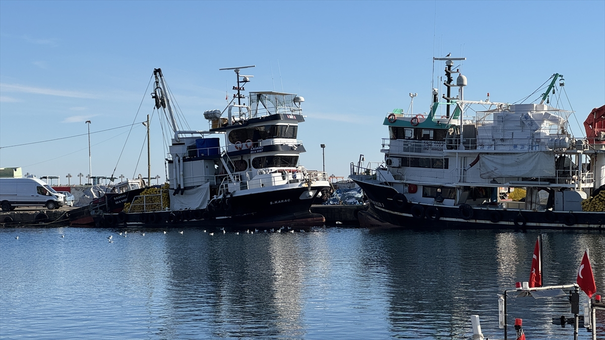 TEKİRDAĞ (AA) – Marmara Denizi'nde etkili olan kar yağışının ardından