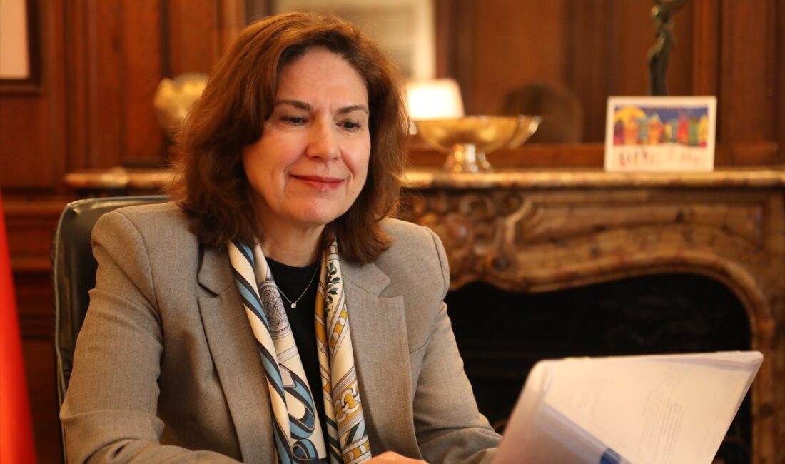 PARİS (AA) – Türkiye'nin Ekonomik İşbirliği ve Kalkınma Örgütü (OECD)