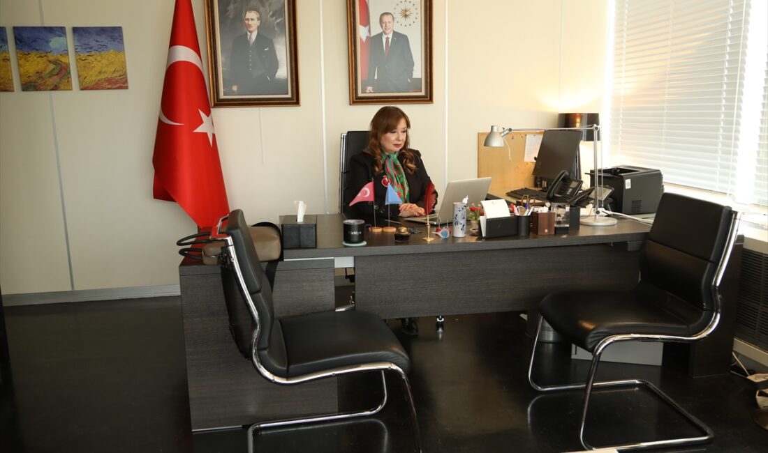 PARİS (AA) – Türkiye'nin Birleşmiş Milletler Eğitim, Bilim ve Kültür