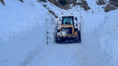 VAN (AA) – Van'ın Başkale ilçesinde çığ nedeniyle yolu kapanan