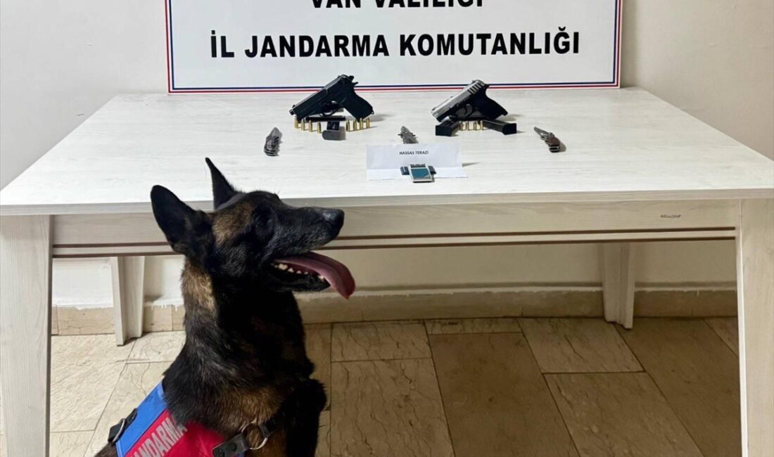 VAN (AA) – Van'ın Erciş ilçesinde bir ev ve eklentilerinde