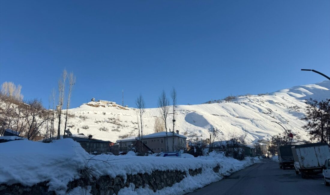 VAN (AA) – Van'ın Çatak ilçesinde çığ düşen bölgelerde ve