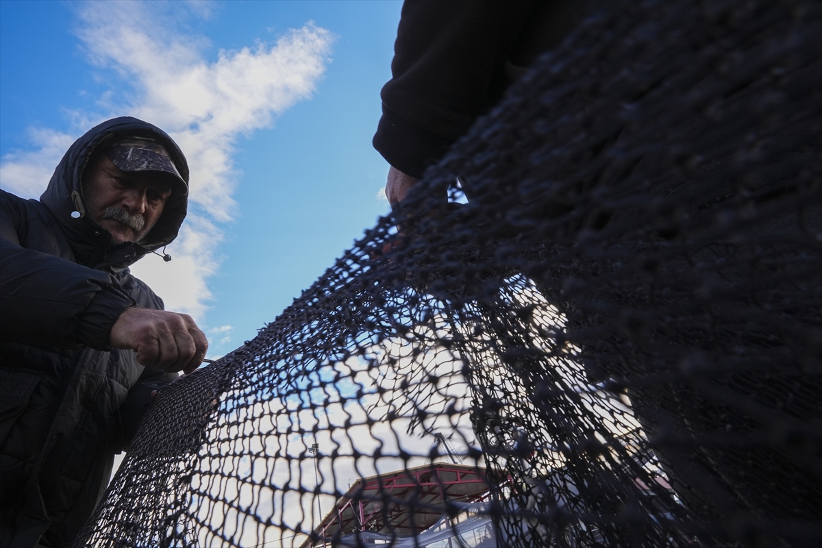 - Deniz Ürünleri Avcıları Üreticileri Merkez Birliği Başkan Vekili Mehmet