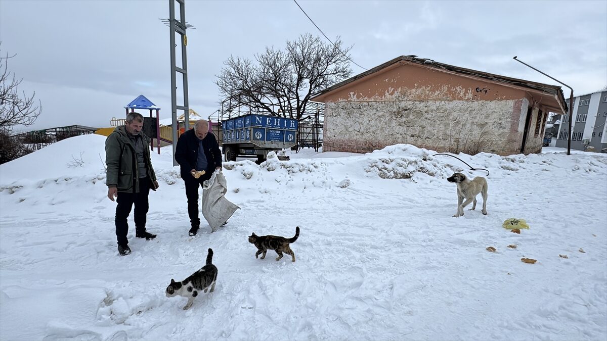 ADIYAMAN (AA) – Adıyaman’da yaz aylarında nüfusu 2 bine yaklaşan