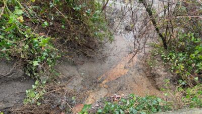 ZONGULDAK (AA) – Zonguldak'ta bir mahallede meydana gelen toprak kayması