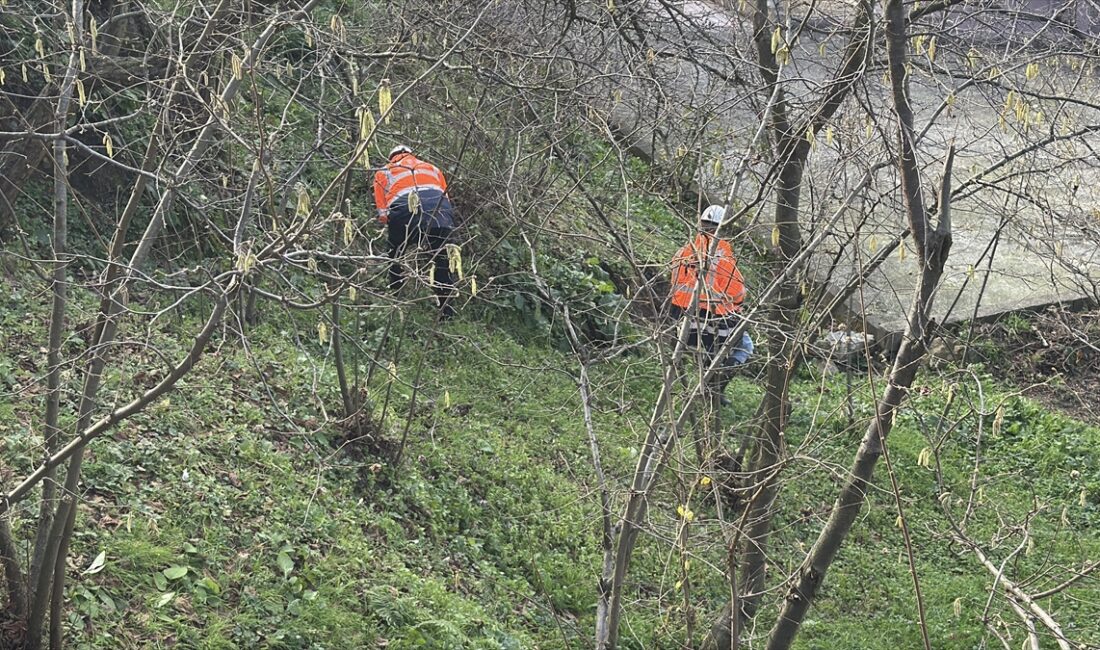 ZONGULDAK (AA) – Zonguldak'ın Kozlu ilçesinde bahçesinde ve bir odasında