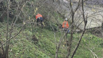 ZONGULDAK (AA) – Zonguldak'ın Kozlu ilçesinde bahçesinde ve bir odasında
