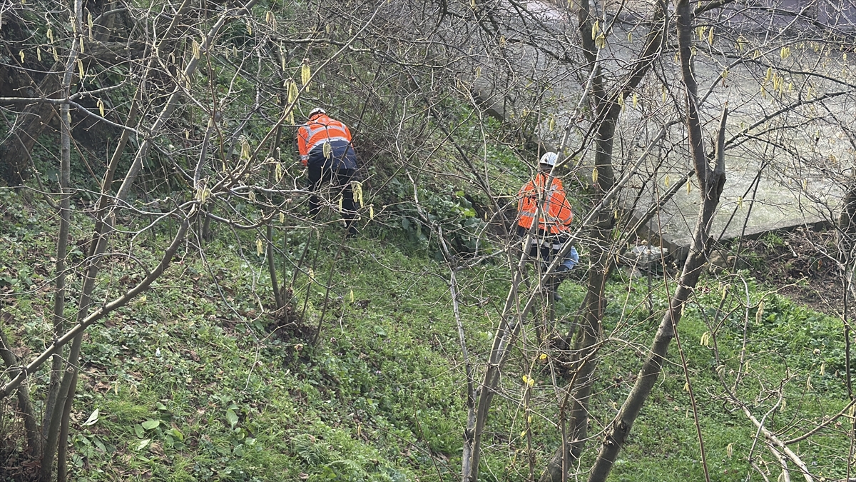 ZONGULDAK (AA) – Zonguldak'ın Kozlu ilçesinde bahçesinde ve bir odasında