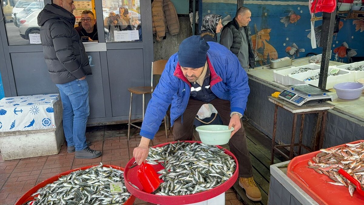 ZONGULDAK (AA) – Zonguldak'ta elverişsiz hava koşulları nedeniyle balıkçıların denize
