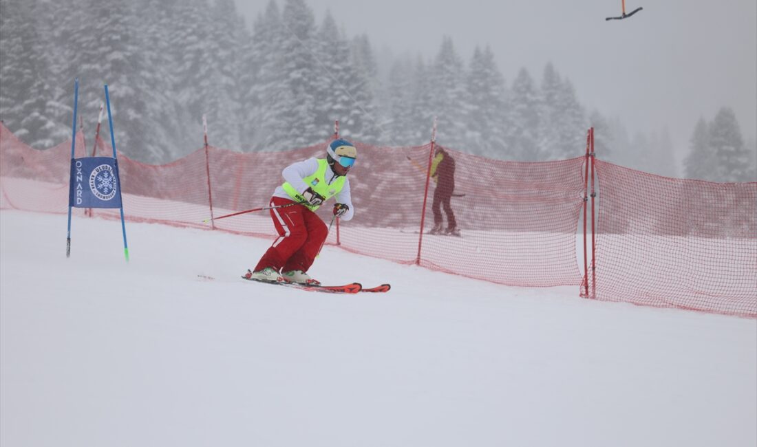BURSA (AA) – Türk Devletleri Teşkilatı'nın (TDT) düzenlediği 2. Türk