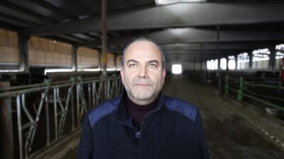 - Kahramanmaraş merkezli 6 Şubat 2023'teki depremlerde 17 büyükbaş hayvanı