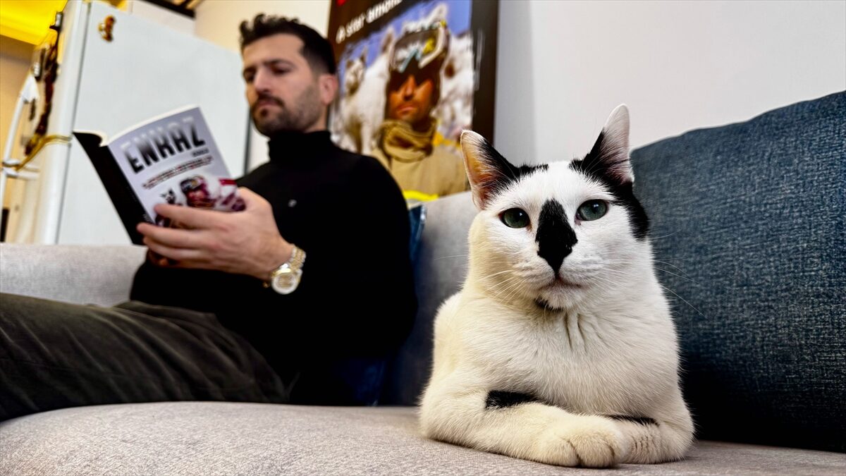 - Mardin Büyükşehir Belediyesi itfaiye ekibinde yer alırken Gaziantep'in Nurdağı