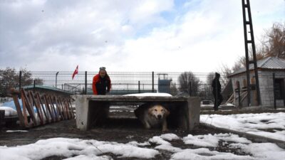 - Kahramanmaraş merkezli depremlerden etkilenen Malatya'da, enkaz aramalarında 4 ayağı