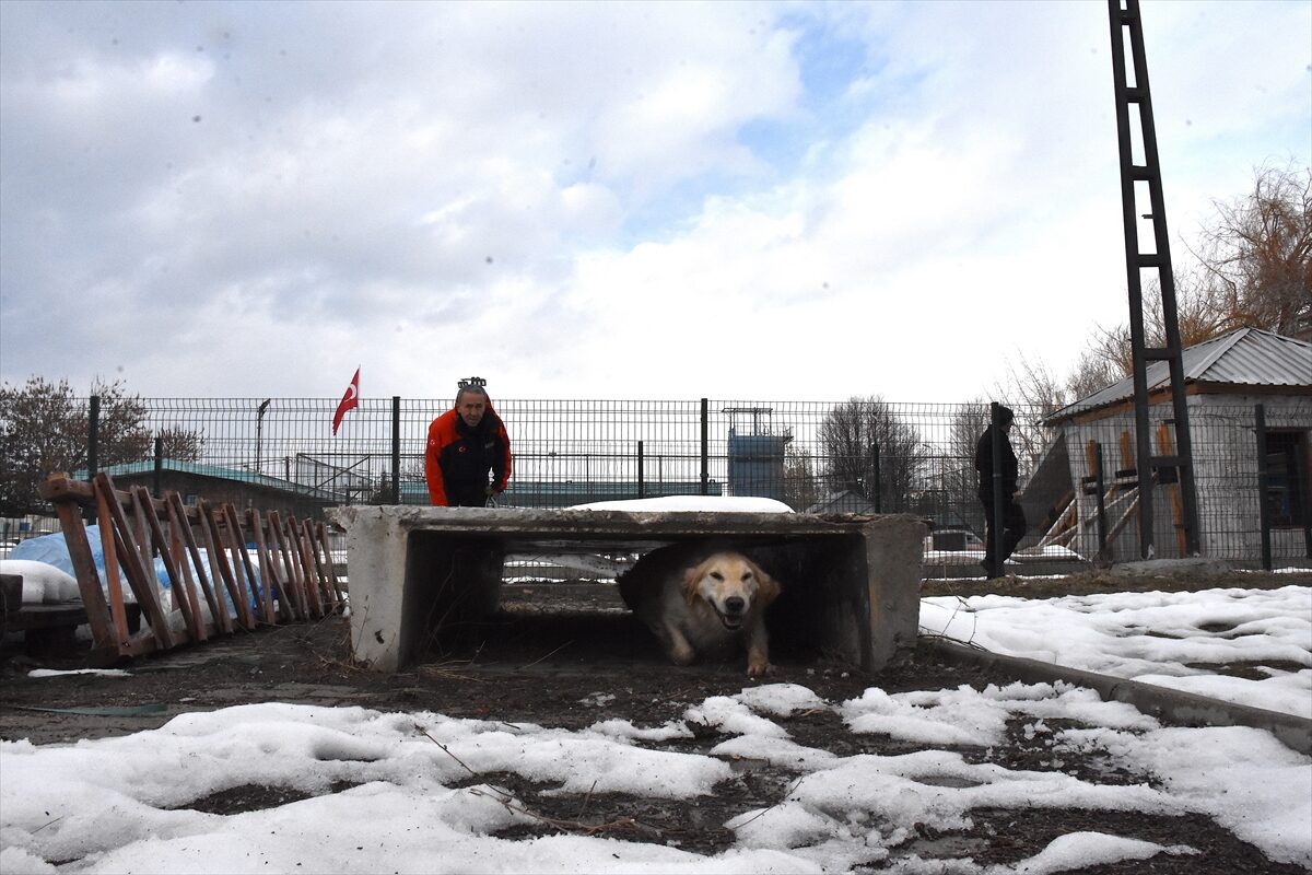 - Kahramanmaraş merkezli depremlerden etkilenen Malatya'da, enkaz aramalarında 4 ayağı