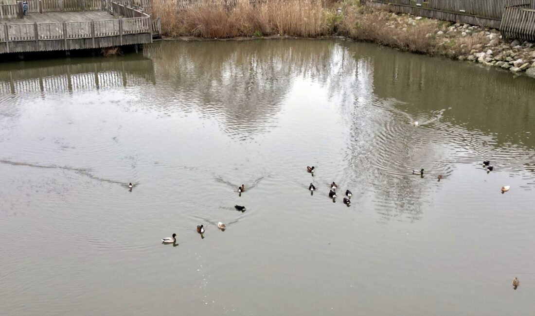 - Sakarya Üniversitesi Fen Fakültesi Biyoloji Bölümü Botanik Anabilim Dalı