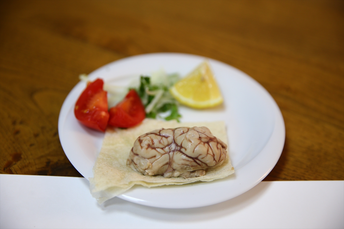 ADANA (AA) – Adana Alparslan Türkeş Bilim ve Teknoloji Üniversitesi