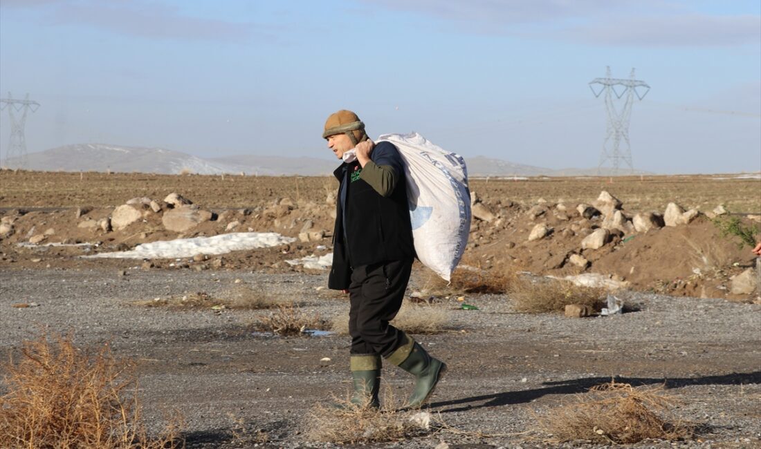 - Kayseri’de çocukluğundan beri ağaçlandırma çalışmaları yaptığı için kendisine "Ağaç