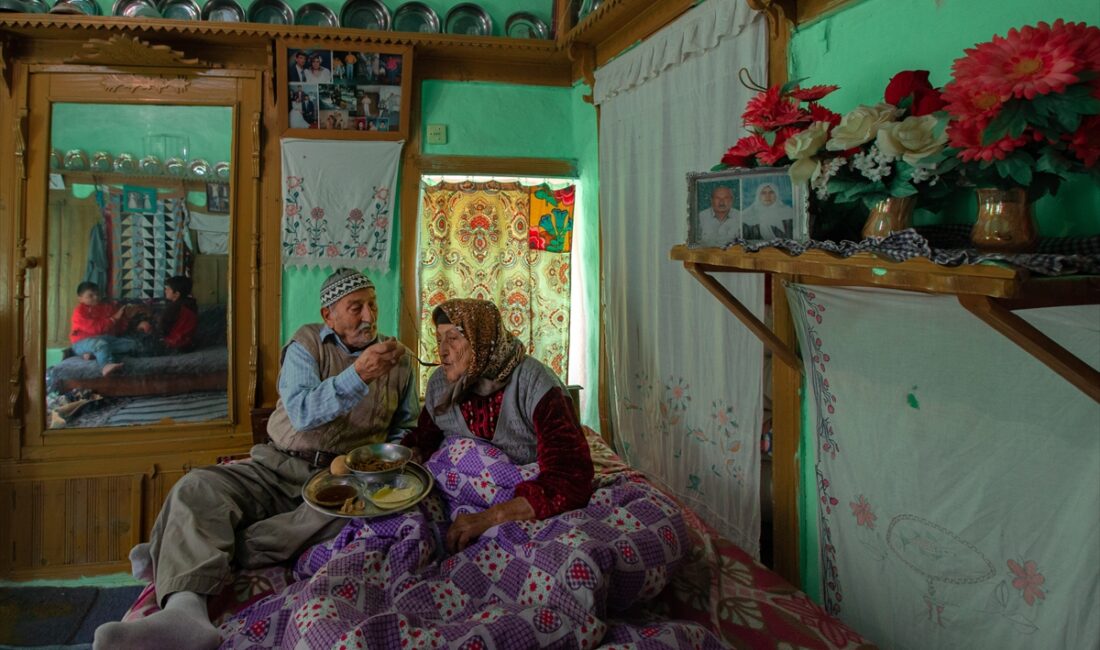 - Aile ve Sosyal Hizmetler Bakanlığınca Anadolu Ajansı işbirliğinde toplumda