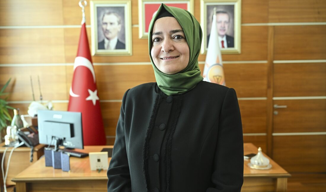 - Genel Başkan Yardımcısı Fatma Betül Sayan Kaya:
- "'Kardeşini Unutma'