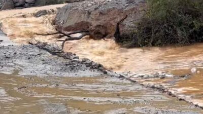 ANTALYA (AA) – Antalya'nın Alanya ilçesinde sağanak sonrası Gözübüyük, Orhan