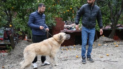 - İşletme sahibi Serkan Şimşek:
- "Nasıl aklıma geldi bilmiyorum o
