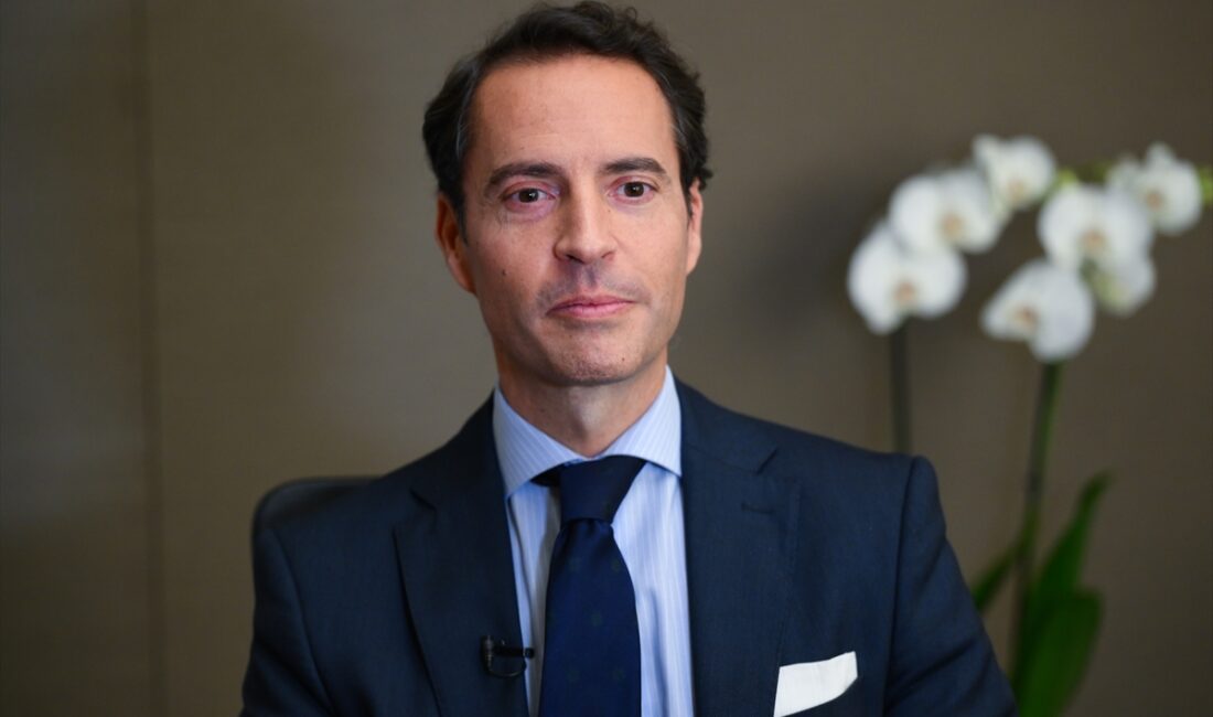 - NATO Güney Komşuluk Bölgesi Özel Temsilcisi ve Siyasi İşler