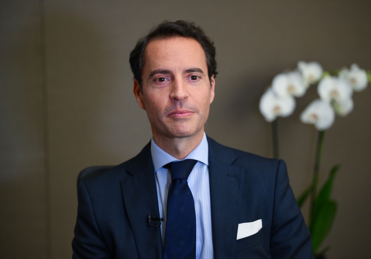 - NATO Güney Komşuluk Bölgesi Özel Temsilcisi ve Siyasi İşler