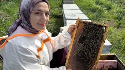 - Yüreğir ilçesindeki araziye yerleştirdiği kovanlar aracılığıyla çiçek balı, polen,