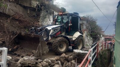 AYDIN (AA) – Aydın'ın Söke ve Bozdoğan ilçelerinde etkili olan