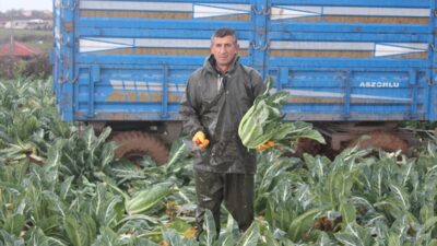 - Bafra Sebze Üreticileri Birliği Başkanı Adem Aşçı:
- "Bafra Ovası'nda