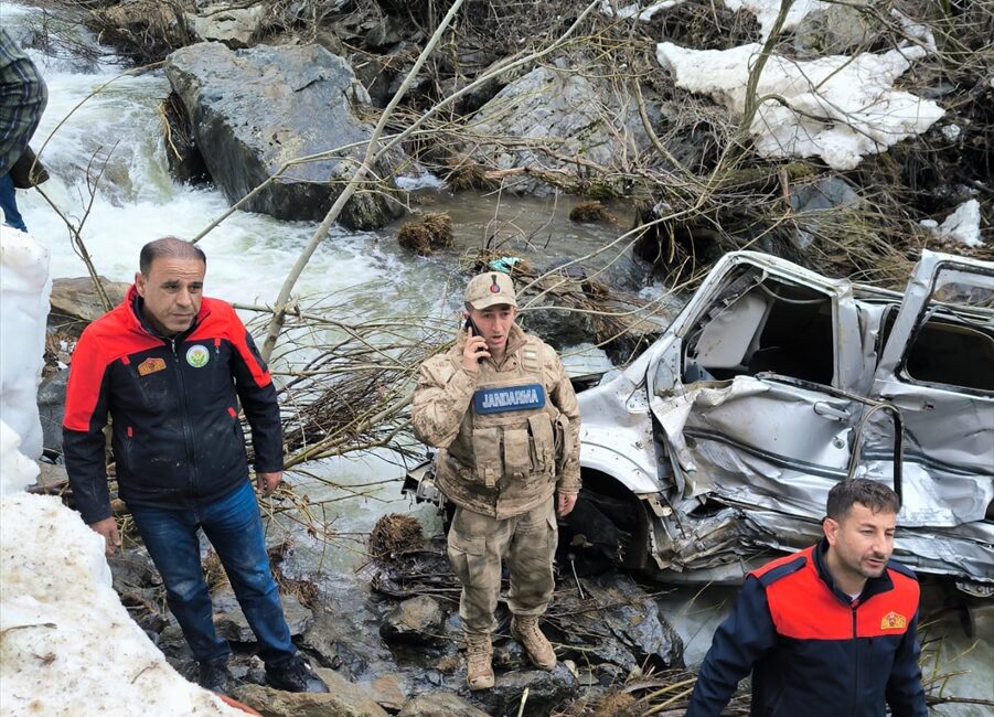 BİTLİS (AA) – Bitlis'in Güroymak ilçesinde hafif ticari aracın dereye