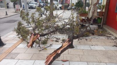 MUĞLA (AA) – Muğla'nın Bodrum ilçesinde fırtına günlük yaşamı olumsuz