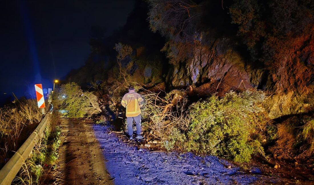 BURSA (AA) – Bursa'nın Mudanya ilçesinde meydana gelen toprak kayması