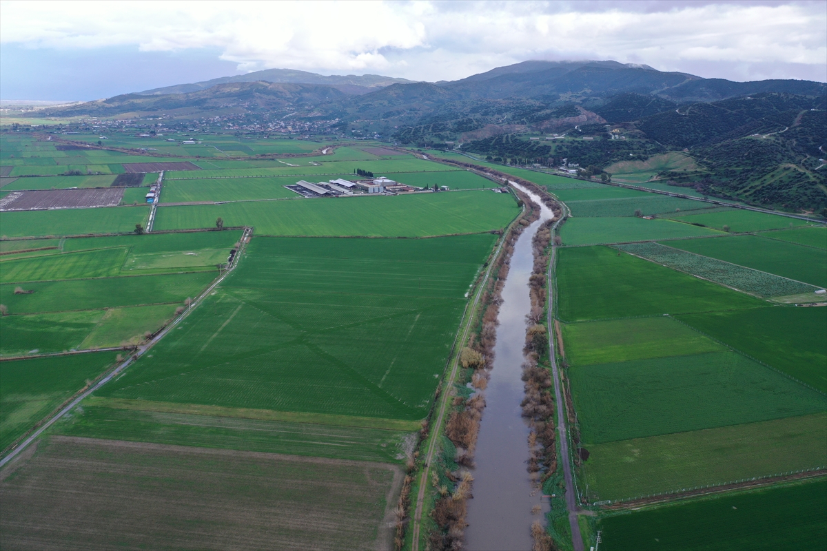 - Aydın Ziraat Odaları Koordinasyon Başkanı Mehmet Kendirlioğlu:
- "Yazın bu