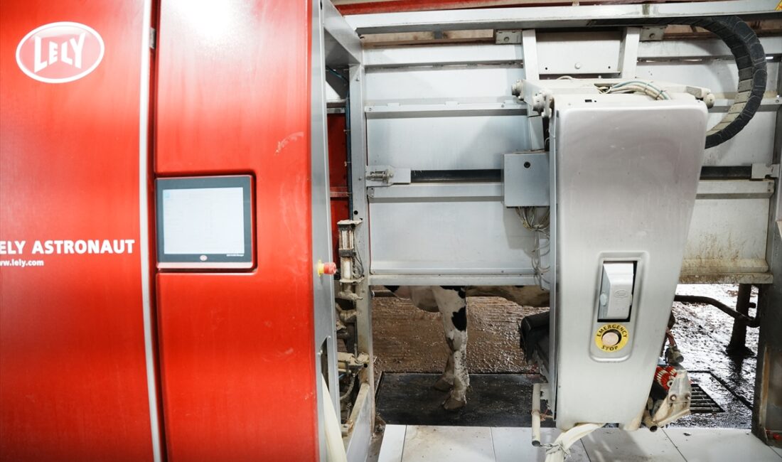 - Biga'nın Eskibalıklı köyünde ailesinden kalan hayvancılığı modern teknolojiyle buluşturan