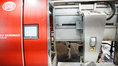 - Biga'nın Eskibalıklı köyünde ailesinden kalan hayvancılığı modern teknolojiyle buluşturan