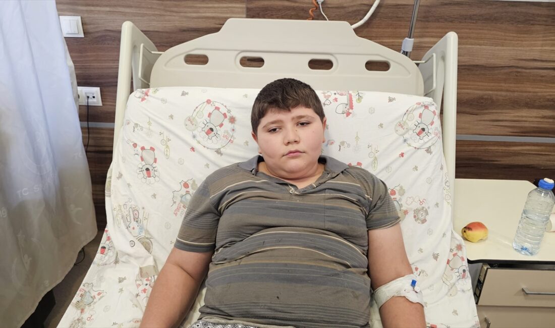 ÇORUM (AA) – Çorum'un Bayat ilçesinde köyde köpeklerin saldırısı sonucu