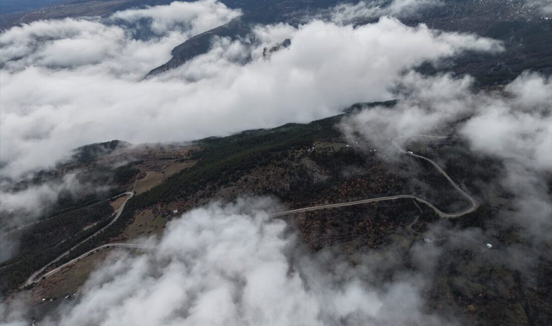 ÇORUM (AA) – Çorum'un Kargı ilçesinde sis etkili oldu. Sisle