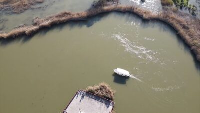 MUĞLA (AA) – Muğla'nın Ortaca ilçesinde, 5 gündür etkili olan