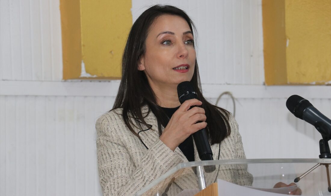 - "(Milli Dayanışma, Kardeşlik ve Demokrasi Komisyonu) Bu komisyonun raporu,